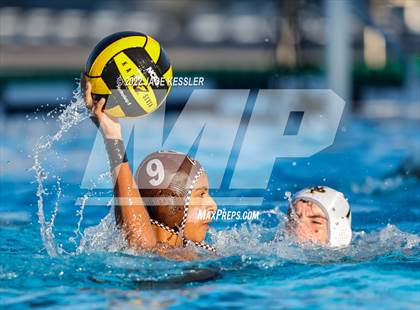 Thumbnail 1 in Newbury Park @ Crespi photogallery.
