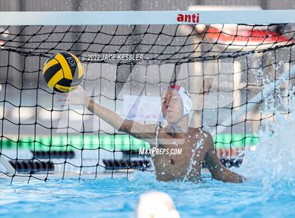 Thumbnail 1 in Newbury Park @ Crespi photogallery.