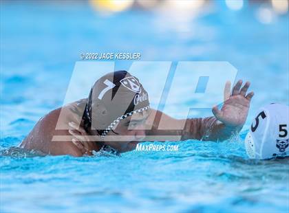 Thumbnail 3 in Newbury Park @ Crespi photogallery.