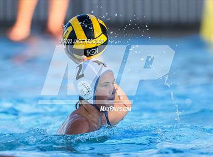 Thumbnail 3 in Newbury Park @ Crespi photogallery.