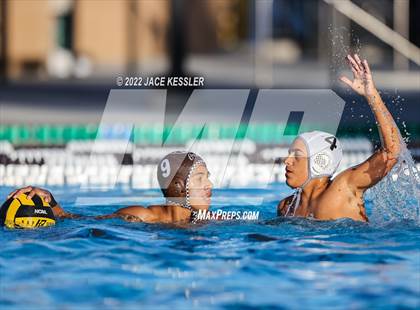 Thumbnail 1 in Newbury Park @ Crespi photogallery.