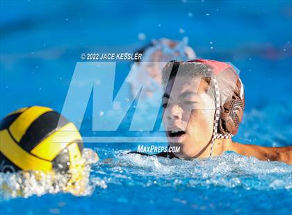 Thumbnail 2 in Newbury Park @ Crespi photogallery.