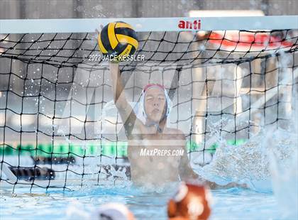 Thumbnail 1 in Newbury Park @ Crespi photogallery.