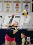 Photo from the gallery "Immaculate Heart @ Notre Dame (SO)"