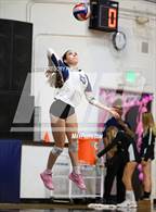 Photo from the gallery "Immaculate Heart @ Notre Dame (SO)"