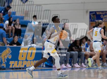 Thumbnail 2 in Orlando Christian Prep vs Charlotte (Wally Keller Classic) photogallery.