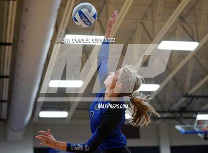 Thumbnail 3 in New Waverly @ Anderson-Shiro photogallery.