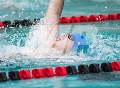 Thumbnail 1 in Albuquerque Academy Swim Meet photogallery.