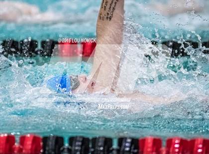 Thumbnail 1 in Albuquerque Academy Swim Meet photogallery.