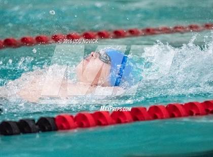 Thumbnail 1 in Albuquerque Academy Swim Meet photogallery.