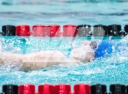 Thumbnail 1 in Albuquerque Academy Swim Meet photogallery.