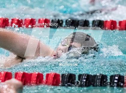 Thumbnail 1 in Albuquerque Academy Swim Meet photogallery.