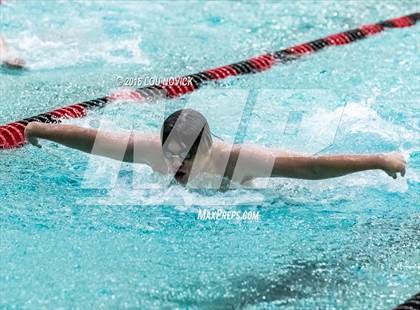 Thumbnail 1 in Albuquerque Academy Swim Meet photogallery.