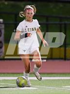 Photo from the gallery "Leigh @ Mountain View"