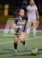 Photo from the gallery "Leigh @ Mountain View"