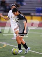Photo from the gallery "Leigh @ Mountain View"