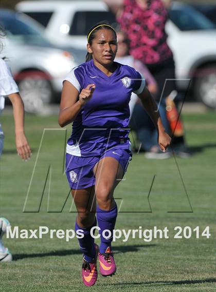 Thumbnail 1 in Armijo @ St. Francis (CIF SJS D1 Playoffs) photogallery.