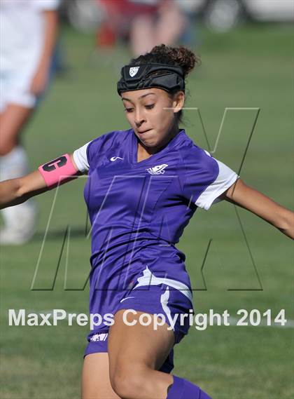 Thumbnail 3 in Armijo @ St. Francis (CIF SJS D1 Playoffs) photogallery.