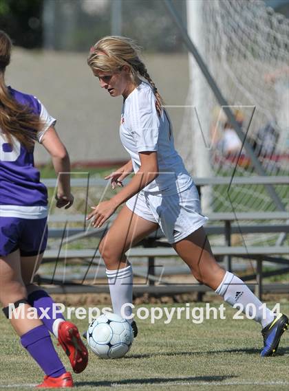 Thumbnail 1 in Armijo @ St. Francis (CIF SJS D1 Playoffs) photogallery.