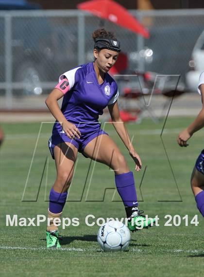 Thumbnail 1 in Armijo @ St. Francis (CIF SJS D1 Playoffs) photogallery.