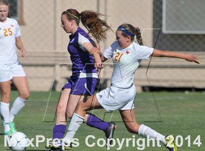 Thumbnail 2 in Armijo @ St. Francis (CIF SJS D1 Playoffs) photogallery.