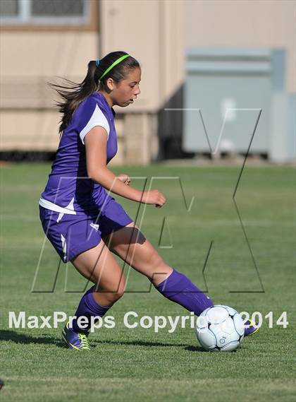 Thumbnail 3 in Armijo @ St. Francis (CIF SJS D1 Playoffs) photogallery.