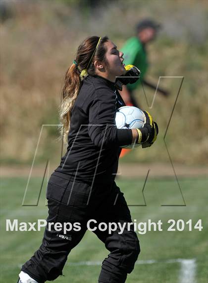 Thumbnail 3 in Armijo @ St. Francis (CIF SJS D1 Playoffs) photogallery.