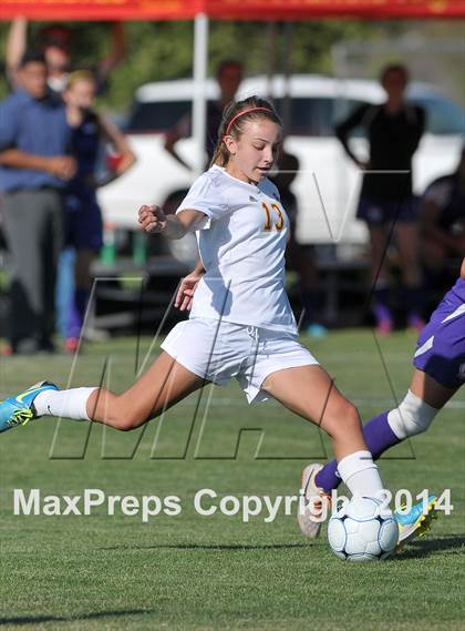 Thumbnail 1 in Armijo @ St. Francis (CIF SJS D1 Playoffs) photogallery.