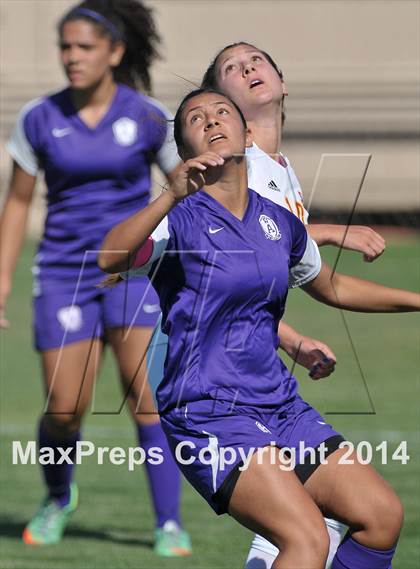 Thumbnail 1 in Armijo @ St. Francis (CIF SJS D1 Playoffs) photogallery.