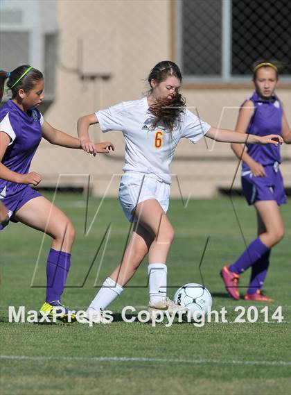 Thumbnail 1 in Armijo @ St. Francis (CIF SJS D1 Playoffs) photogallery.