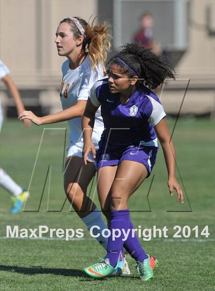 Thumbnail 2 in Armijo @ St. Francis (CIF SJS D1 Playoffs) photogallery.