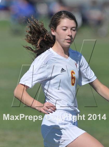 Thumbnail 2 in Armijo @ St. Francis (CIF SJS D1 Playoffs) photogallery.