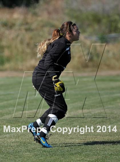 Thumbnail 1 in Armijo @ St. Francis (CIF SJS D1 Playoffs) photogallery.
