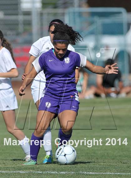 Thumbnail 1 in Armijo @ St. Francis (CIF SJS D1 Playoffs) photogallery.