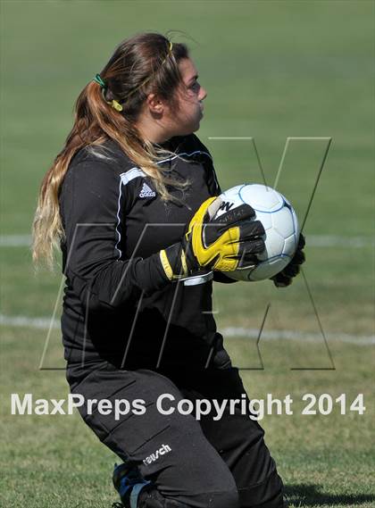 Thumbnail 1 in Armijo @ St. Francis (CIF SJS D1 Playoffs) photogallery.