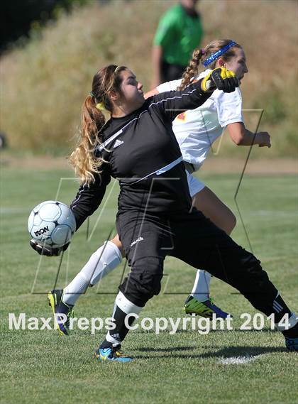 Thumbnail 3 in Armijo @ St. Francis (CIF SJS D1 Playoffs) photogallery.