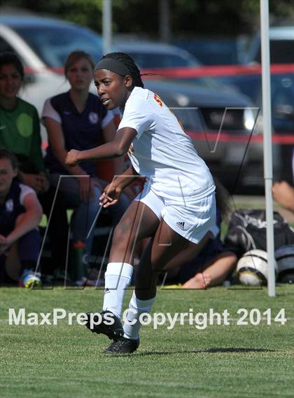 Thumbnail 3 in Armijo @ St. Francis (CIF SJS D1 Playoffs) photogallery.