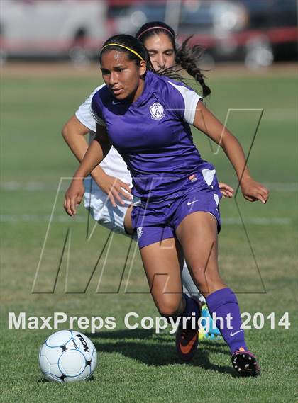 Thumbnail 3 in Armijo @ St. Francis (CIF SJS D1 Playoffs) photogallery.