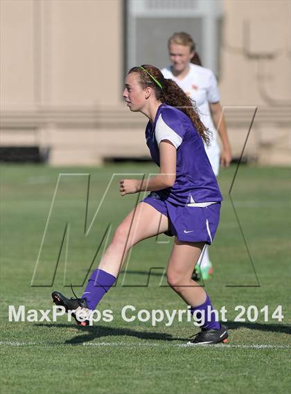 Thumbnail 2 in Armijo @ St. Francis (CIF SJS D1 Playoffs) photogallery.