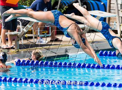Thumbnail 1 in Hillsborough Western Conference Meet photogallery.