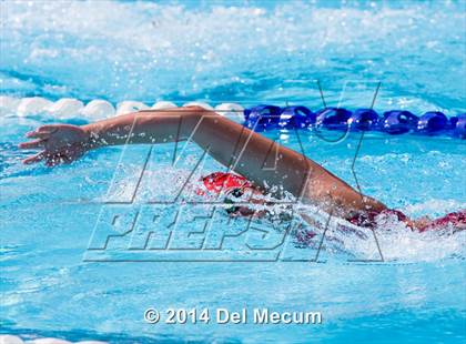 Thumbnail 2 in Hillsborough Western Conference Meet photogallery.