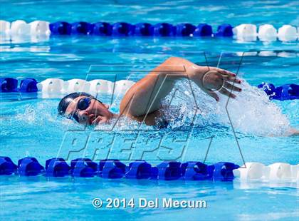 Thumbnail 1 in Hillsborough Western Conference Meet photogallery.