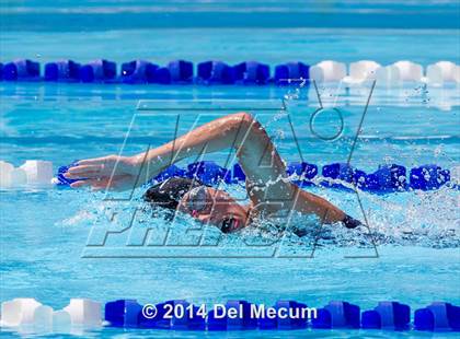 Thumbnail 3 in Hillsborough Western Conference Meet photogallery.