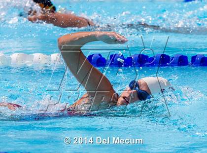 Thumbnail 3 in Hillsborough Western Conference Meet photogallery.
