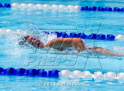 Thumbnail 2 in Hillsborough Western Conference Meet photogallery.