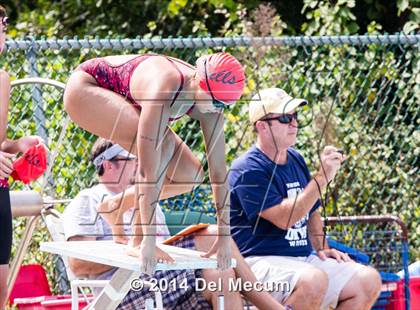 Thumbnail 2 in Hillsborough Western Conference Meet photogallery.