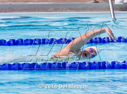 Thumbnail 3 in Hillsborough Western Conference Meet photogallery.