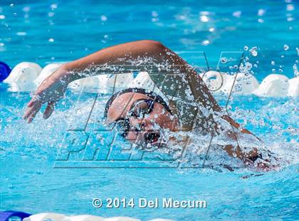 Thumbnail 2 in Hillsborough Western Conference Meet photogallery.