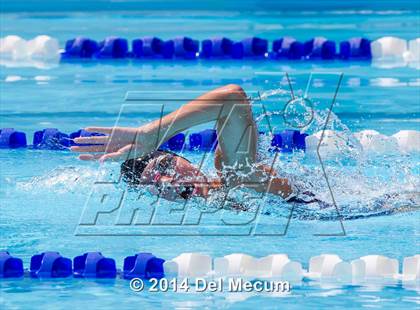 Thumbnail 3 in Hillsborough Western Conference Meet photogallery.