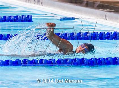 Thumbnail 3 in Hillsborough Western Conference Meet photogallery.